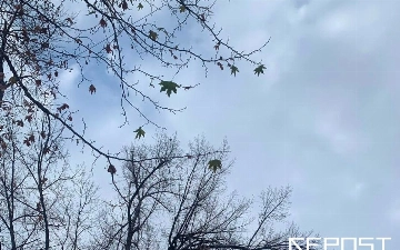 Воздух в Ташкенте на 7 января: уровень загрязнения превысил норму в шесть раз