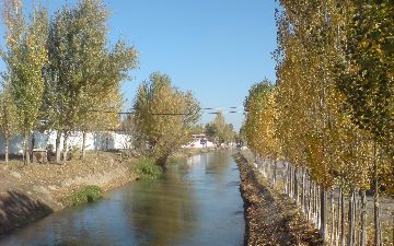 В Ташобласти установят ограждения вдоль канала Джунарык, где утонул двухлетний ребенок