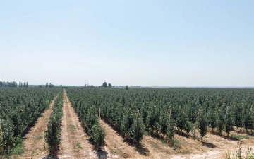 Как реформы влияют на сельскохозяйственный сектор: содействие ЕС к переходу современной рыночной экономике