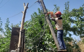 Под Ташкентом накрыли ферму, расхитившую электричество почти на 2 млрд сумов