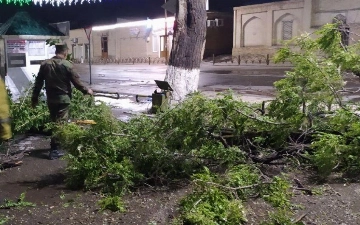 Узбекистанцев экстренно предупредили об усилении ветра