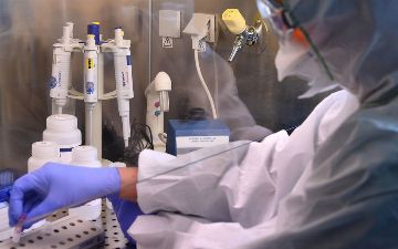 Доказано наличие коронавируса у летучих мышей и панголинов 