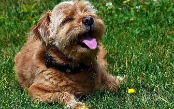 Врачи рассказали, как мог появиться омикрон-штамм коронавируса