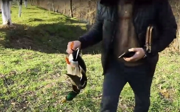 Житель Ташкента посреди дня решил поохотиться на уток из ружья — видео