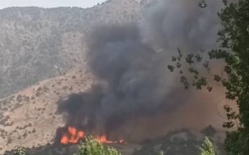 Сильный пожар вспыхнул в Зааминских горах - видео