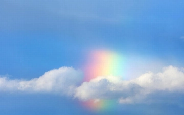 Сегодня в Узбекистане наблюдалось редкое оптическое явление — радужные облака