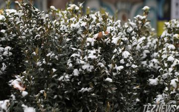 Узбекистанцам обещают резкое похолодание