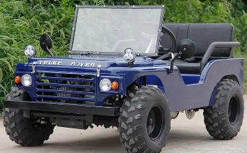 В сети показали очень маленький и дешевый «внедорожник»