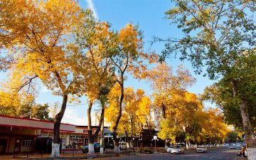 Синоптики рассказали о погоде в последний месяц осени