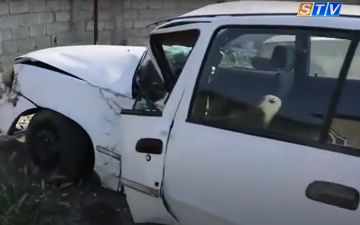 В Самарканде «Нексия» врезалась в дерево: один человек погиб