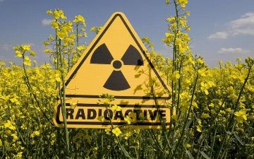 Как радиация влияет на живые организмы