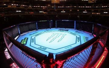 ММА могут быть представлены на ОИ 2028 года в качестве выставочного вида спорта