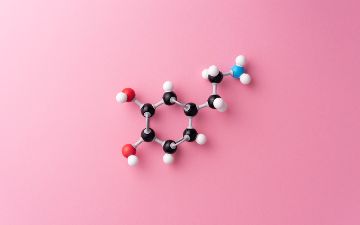 Гормоны: подборка неочевидных фактов 