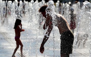 Названы продукты, которые опасно есть в жару