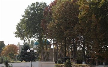 Что изменится в Узбекистане с 1 октября