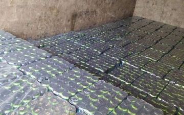 В Фергане задержали мошенника, который обманным путем заполучил более 25 тысяч долларов 