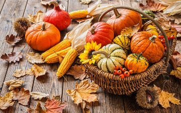 Специалисты по питанию назвали продукты, которые помогут похудеть в осенний период