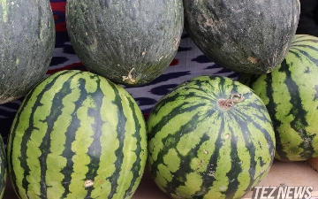 Узбекистан заработал более $33 млн на продаже арбузов и дынь — статистика 