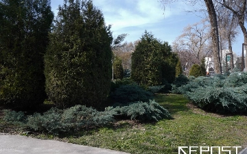 Узбекистанцев ждет сухая и прохладная неделя — прогноз погоды