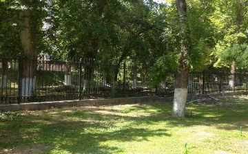 Неизвестные дровосеки срубили более 10 деревьев на Чиланзаре (видео)