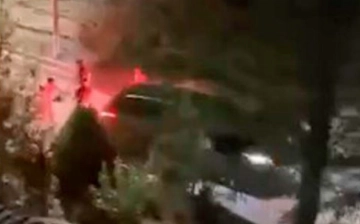 В Ташкенте произошла массовая драка, пострадали три человека