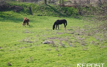 Воздух в Ташкенте на 17 ноября: уровень загрязнения незначительно превысил норму