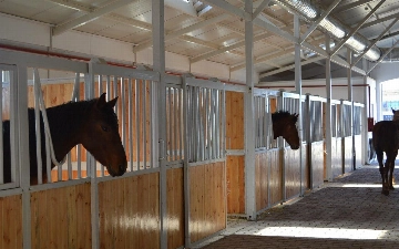 В Джизаке сын поджег конюшню отца, погибли 17 лошадей
