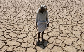 Летом из-за погоды в мире ожидается повышенная смертность