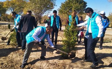 В Узбекистане посадят 250 млн деревьев
