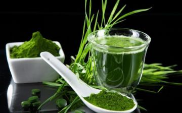 Израильские исследователи говорят, что водоросли могут снизить смертность от COVID-19