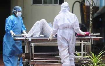 ВОЗ: Распространение вируса Нипах возможно из-за низкой изученности