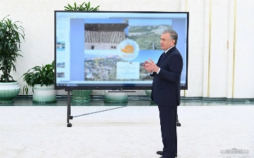 Несколько районов Ташобласти соединят в «Золотое кольцо»