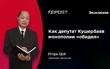 Кто расплачивается за неэффективность монополий? 
