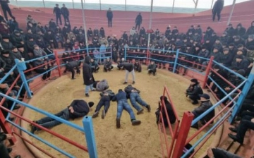 В Фергане накрыли арену для петушиных боев, вмещавшую до 400 зрителей