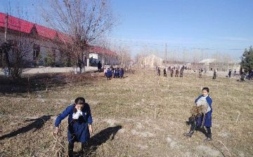 В Самарканде школьников заставляли выходить на субботники и облагораживать территории