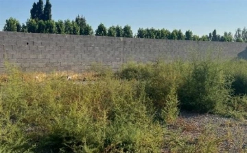 Наманганский фермер пытался незаконно продать землю за $70 тысяч