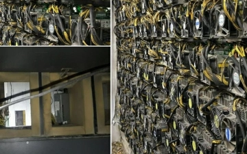 Farg'onada noqonuniy mayning ferma tashkil qilib, jamiyatga 2 mlrd so'mdan ortiq zarar yetkazgan shaxslar ushlandi