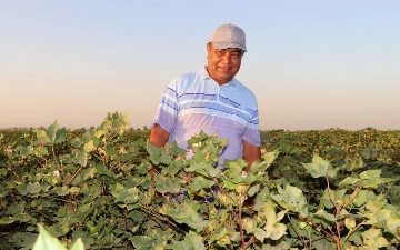 В Кашкадарье оштрафовали экс-депутата, избившего школьника из-за свидания с внучкой