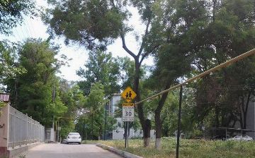 Скорость движения у школ и детсадов не должна превышать 30 км/ч — президент