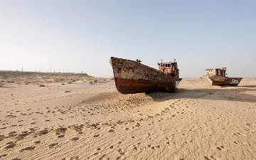 В Узбекистане представили проект стратегии борьбы с опустыниванием