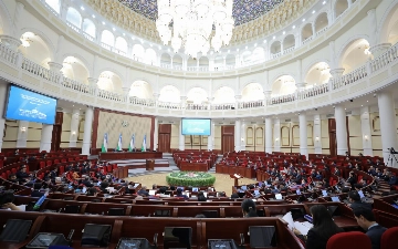 Мат в интернете, пропаганда участия в военных конфликтах и скандальные видео в соцсетях: в Узбекистане введут новые административные наказания