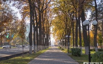 Тепло и туманно: какая погода ждет узбекистанцев на выходных