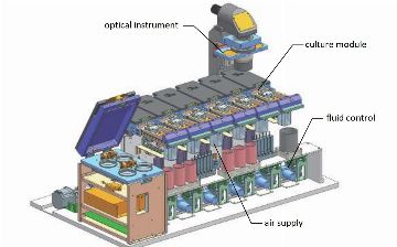 Китайские ученые создали «няню» с искусственным интеллектом, которая будет выращивать эмбрионы