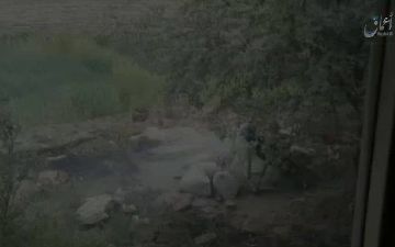 Пресс-секретарь президента прокомментировал информацию об обстреле Термеза со стороны Афганистана