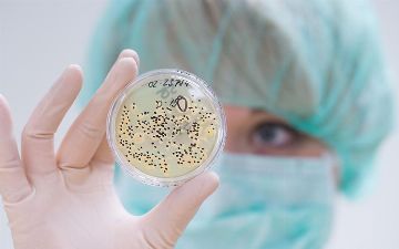 Узбекистанцам не угрожает «черная плесень» — рассказали, почему