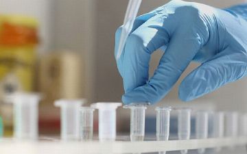 Ученые обнаружили растение, которое убивает 97% коронавируса за пять минут