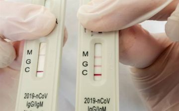 Российский эпидемиолог объяснила разницу между антителами М и G к коронавирусу