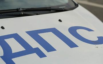 В Москве пьяный узбекистанец покусал сотрудников ГИБДД при проверке документов