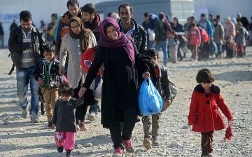 Число беженцев превысило 84 миллиона в мире