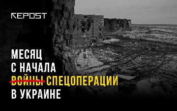 Война в Украине. Итоги первого месяца